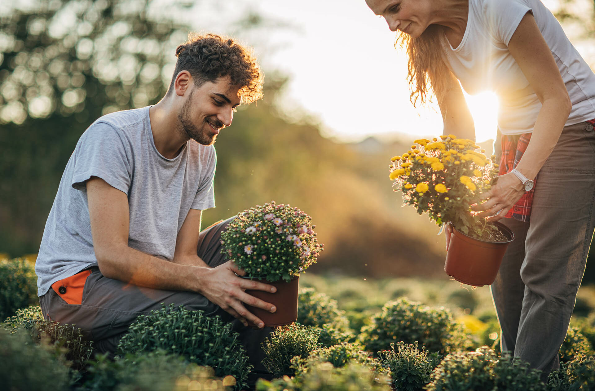 RHS Level 2 Qualifications / RHS Gardening