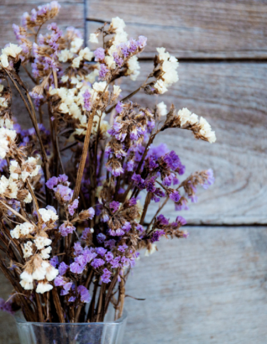 a bouquet of flowers